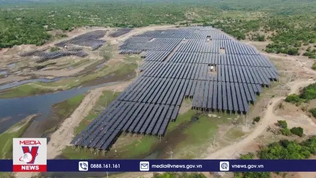 Thu hút đầu tư và sử dụng năng lượng xanh