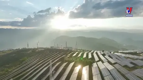 Tương Lai Xanh ngày 01/8/2024