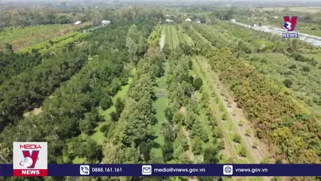 Bản tin thời sự 8h ngày 02/8/2024