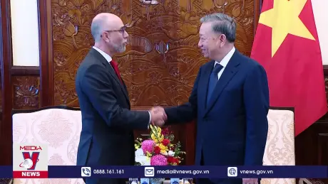 Chủ tịch nước Tô Lâm tiếp Đại sứ Canada