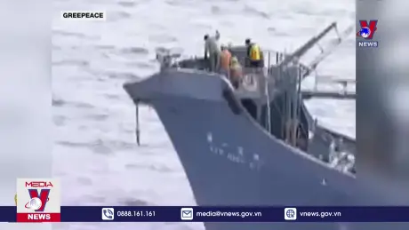 Nhật Bản mở rộng danh sách cá voi được đánh bắt thương mại