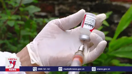 Không để ổ dịch bệnh dại bùng phát