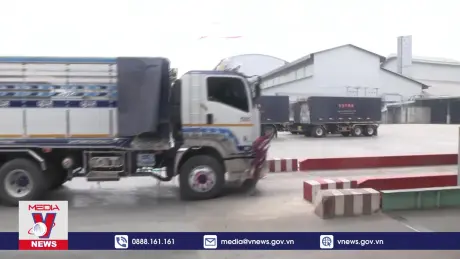 Thái Lan nâng dự báo xuất khẩu gạo lên 8,2 triệu tấn