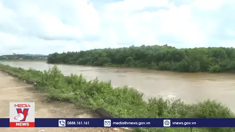 Thanh Hóa đảm bảo an toàn công trình đê điều mùa mưa bão năm 2024