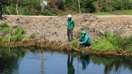 Long An: Khởi tố bị can đối với giám đốc công ty xả thải ra môi trường