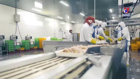 越通社新闻 - Bản tin tiếng Trung ngày 03/8/2024
