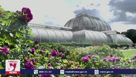 Vườn thực vật gần 300 tuổi bị đe dọa vì nắng nóng