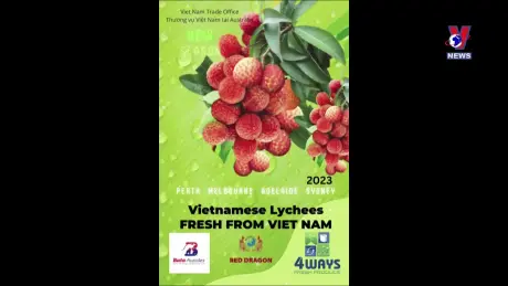 Journal hebdomadaire - Bản tin tiếng Pháp ngày 05/8/2024
