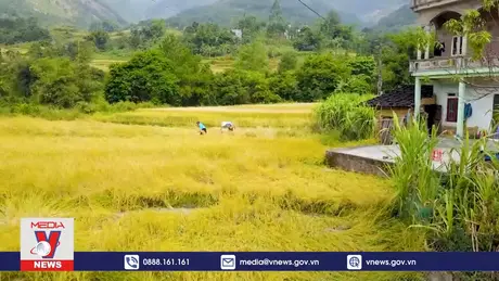 Phim tài liệu: Điệu hát Sóong Cọ của người Sán Chỉ