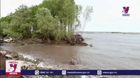 Sạt lở tiếp tục xảy ra trên tuyến đê biển ở Bạc Liêu