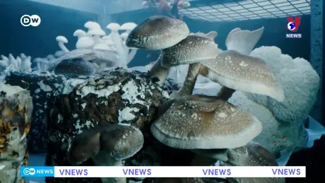 Tạp chí toàn cầu số 995 ngày 05/8/2024