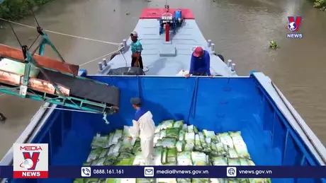 Bản tin thời sự 22h ngày 04/8/2024