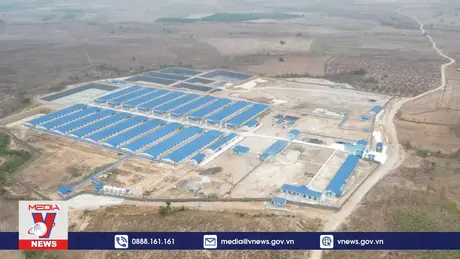 Người dân Ia Piơr kêu cứu về tình trạng ô nhiễm các trại heo