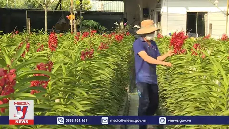 Năm 2030, TPHCM sẽ là trung tâm Nông nghiệp Công nghệ cao