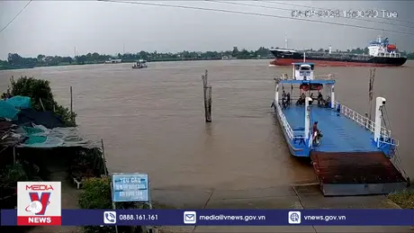 Tàu chở hàng va chạm với phà trên sông Vàm Nao, An Giang