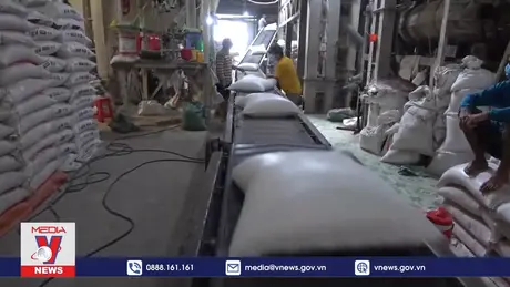 Gạo Việt Nam vững chắc 'ngôi đầu' tại thị trường Đông Nam Á