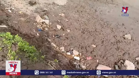 Sạt lở đê biển Đông, UBND tỉnh Bạc Liêu họp khẩn