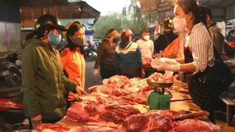 Trên 16% cơ sở kinh doanh thức ăn đường phố ở Hà Nội vi phạm quy định an toàn vệ sinh thực phẩm