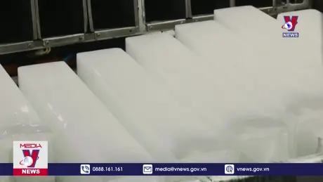 Công nghệ làm đá cây “xanh”