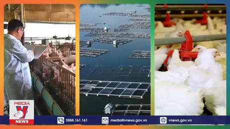 Triển lãm ngành chăn nuôi 2024 dự kiến quy tụ 400 gian hàng 