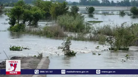 Mở cống, xả lũ để đón phù sa vào đồng ruộng