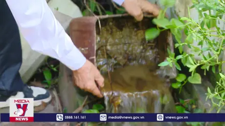 Xử lý triệt để ổ dịch sốt xuất huyết