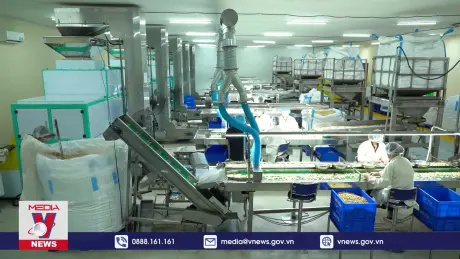 Ngành điều nỗ lực ổn định nguyên liệu cho xuất khẩu