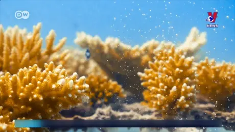 Tạp chí toàn cầu số 996 ngày 08/8/2024