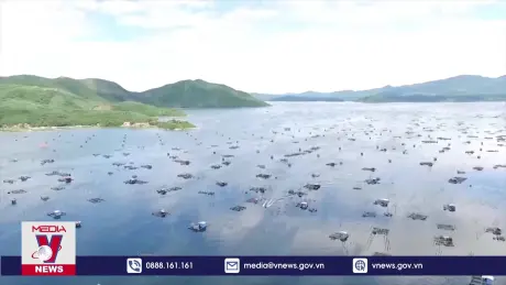 Giảm mật độ nuôi trồng thủy sản để kiểm soát vùng nuôi