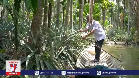 Phát triển bền vững dựa vào tự nhiên