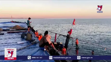 Tàu cá va chạm với tàu hàng, 11 thuyền viên được cứu an toàn