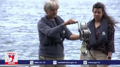 Nấm “ăn” nhựa – Hy vọng cho bài toán rác thải toàn cầu