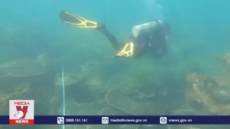 Nha Trang là điểm đến lặn biển hàng đầu châu Á