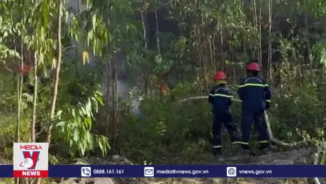 Quảng Bình đã cơ bản khống chế được vụ cháy rừng trồng