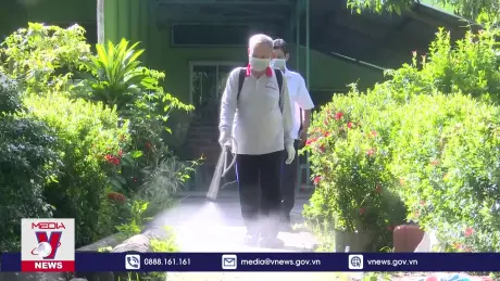 Hậu Giang chủ động phòng bệnh dịch tả lợn châu Phi