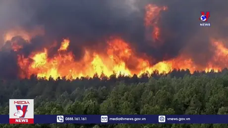 Cháy rừng ở Quảng Bình