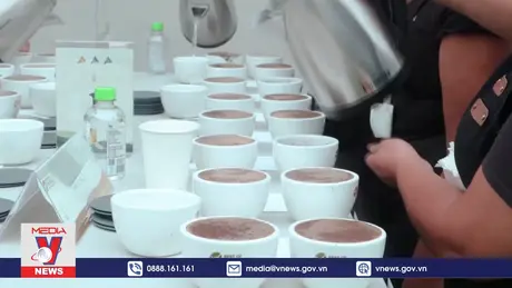 Cà phê Panama phá kỷ lục đấu giá