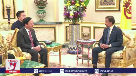 Phó Chủ tịch Quốc hội thăm Brunei