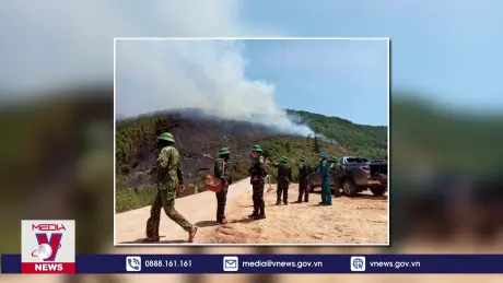 Chưa thể dập tắt vụ cháy rừng bạch đàn tại Quảng Bình