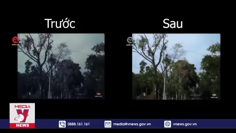 Tái tạo màu phim tài liệu cũ