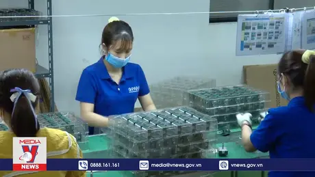 Điều tra 3.400 doanh nghiệp để xem xét tăng lương tối thiểu 2025