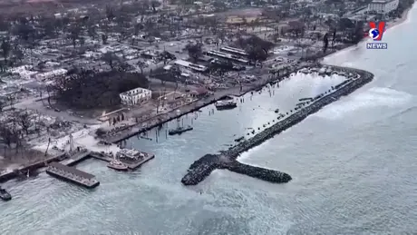 Con số trong tuần ngày 10/8/2024