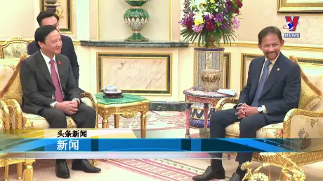 越通社新闻 - Bản tin tiếng Trung ngày 11/8/2024