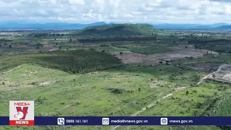 Gia Lai kiến nghị thu hồi đất bỏ hoang để cấp cho dân