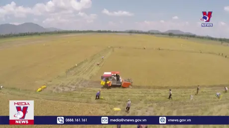 Bản tin thời sự 17h ngày 11/8/2024