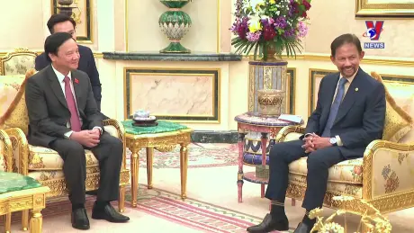 VNA News - Bản tin tiếng Anh ngày 11/8/2024