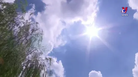 Đời sống toàn cầu ngày 11/8/2024