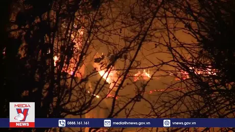 Cháy rừng nghiêm trọng tại châu Âu