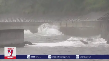 Nhật Bản hủy nhiều chuyến bay do ảnh hưởng bão Maria