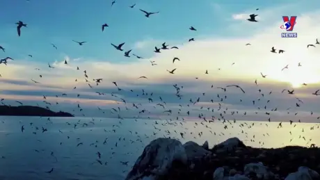 Thông điệp lịch sử: Vườn quốc gia U Minh Thượng